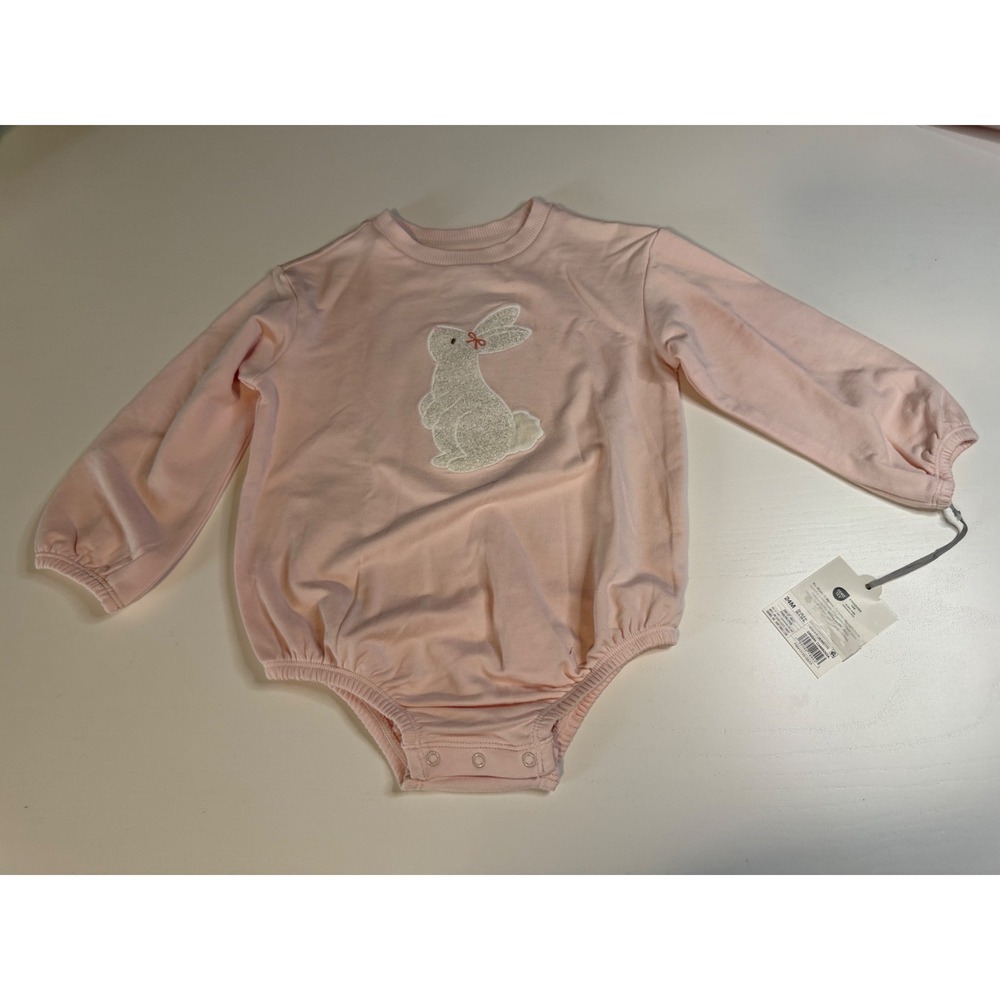 Cloud Island Baby Girls Pink Bunny Bubble Romper Long Sleeve 24M NWT